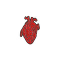 Anatomy Organs Pin