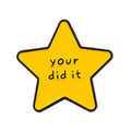 Humorous Quote Star Pin