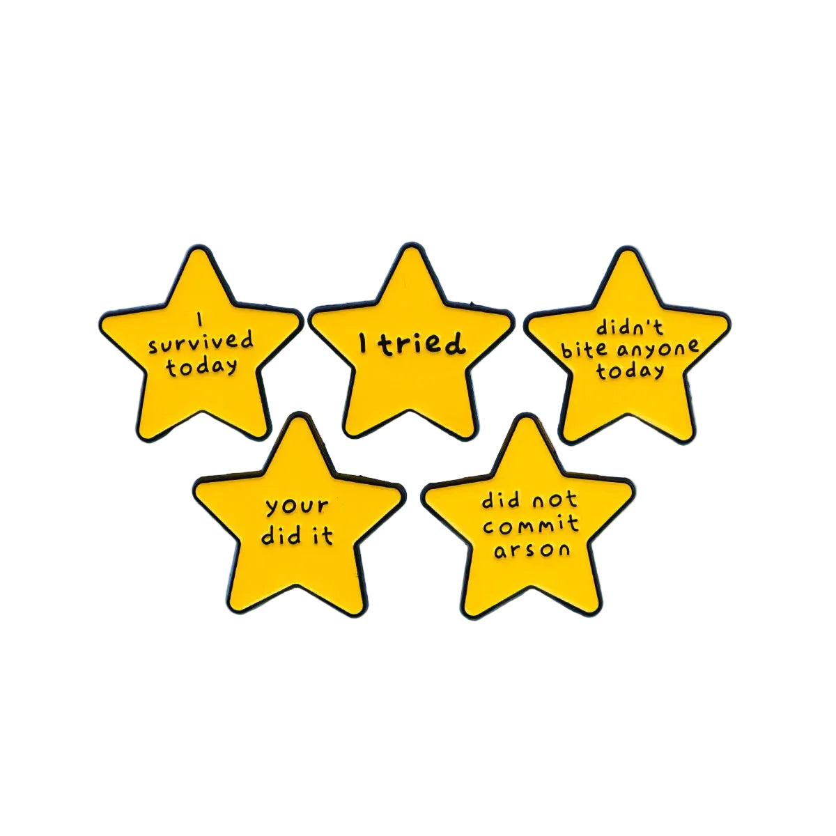 Humorous Quote Star Pin
