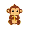 Little Monkey Eating a Banana Pin