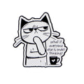 What if everyone else is underthinking? Cat Pin
