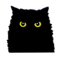Black Cat Enamel Pin 1