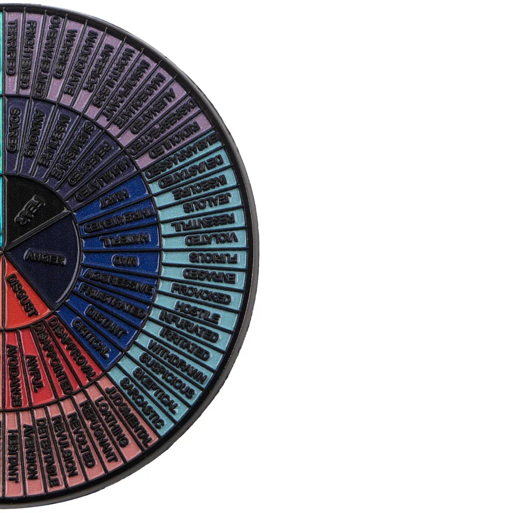 Emotional Wheel Enamel Pin 1