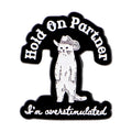 Cartoon Cat Enamel Pin Lapel Pins Metal Badges ’Hold On’Quotes Brooch for Clothes Accessories Fashion Jewelry Friends