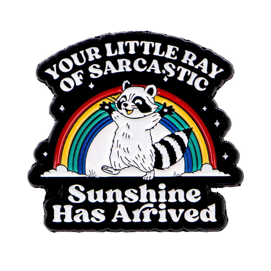 Cute Raccoon & Rainbow Enamel Pin Sarcastic Quotes Brooches Lapel Pins Badge on Backpack Clothing Accessories Funny